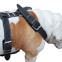 Black Genuine Leather Dog Harness, 35"-40" Chest, 1.5" Wide Straps Mastiff Great Dane