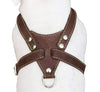 Brown Genuine Leather Dog Harness, Medium. 25.5"-29" Chest size, 1" Wide Amstaff