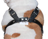 Genuine Black Leather Dog Pulling Walking Harness Large. 30"-34" Chest 1" Wide Straps, Padded