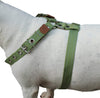 Cotton Web Dog Harness Large. Fits Girth 26"-31". 1" Wide Straps, Amstaff, Boxer, Pitbull
