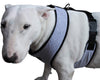 Dogs My Love Soft Vest Harness for Dogs and Puppies 6 sizes Grey