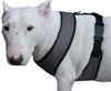 Dogs My Love Soft Mesh Walking Harness for Dogs and Puppies 6 sizes Grey