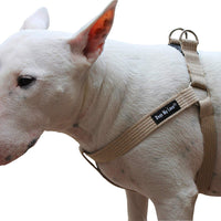 Cotton Web Adjustable Dog Step-in Harness 4 Sizes Beige