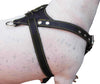 Black Genuine Leather Dog Harness, Medium. 25.5"-29" Chest, 1" Wide Adjustable Straps