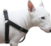 Cotton Web Adjustable Dog Step-in Harness 4 Sizes Black