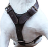 Genuine Leather Dog Harness X-Large 33"-40" Chest, 1.3" Wide Adjustable Straps