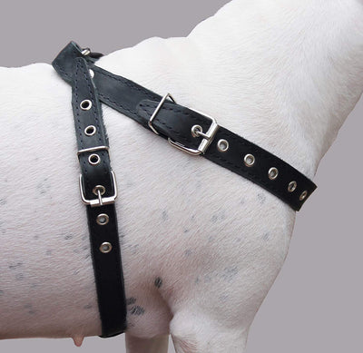 Black Real Leather Dog Harness Medium. 21