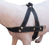 Genuine Black Leather Dog Pulling Walking Harness Medium to Large. 25.5"-31" Chest, 1.5" Straps