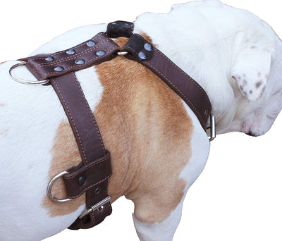 Genuine Leather Dog Harness X-Large 33