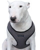 Dogs My Love Soft Mesh Walking Harness for Dogs and Puppies 6 sizes Grey