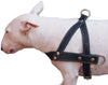 Genuine Black Leather Dog Pulling Walking Harness Medium to Large. 25.5"-31" Chest, 1.5" Straps