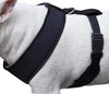 Dogs My Love Soft Vest Harness for Dogs and Puppies 6 sizes Blue