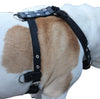 Genuine Leather Dog Harness Medium to Large 25"-32" Chest, 1" Wide Adjustable Straps