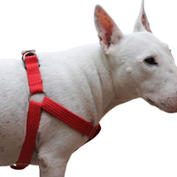 Cotton Web Adjustable Dog Step-in Harness 4 Sizes Red