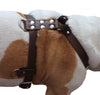 Genuine Leather Dog Harness Medium to Large 25"-32" Chest, 1" Wide Adjustable Straps