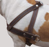 Genuine Brown Leather Dog Pulling Walking Harness XLarge. 35"-39.5" Chest, 1.5" Wide Straps
