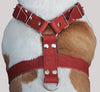Red Genuine Leather Dog Harness, Large to Xlarge 33"-37" Chest, 1.5" Wide Straps Rottweiler Mastiff