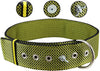 Bolted Heavy Duty Extra Wide Triple Layer Tie Out Dog Collar for XLarge Dogs 20"-24" Neck, 2" Wide