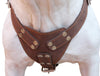 Brown Genuine Leather Dog Harness, Xlarge. 33"-37" Chest, 1.5" Wide Straps