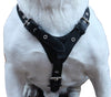 Genuine Leather Dog Harness Medium to Large 25"-32" Chest, 1" Wide Adjustable Straps