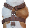 Brown Genuine Leather Dog Harness, Xlarge. 33"-37" Chest, 1.5" Wide Straps