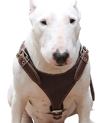 Brown Genuine Leather Dog Harness, Medium. 25