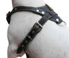 Black Genuine Leather Dog Harness, Medium. 25.5"-29" Chest, 1" Wide Adjustable Straps