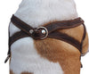 Genuine Brown Leather Dog Pulling Walking Harness Medium to Large. 25.5"-31" Chest, 1.5" Straps