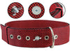 Bolted Heavy Duty Extra Wide Triple Layer Tie Out Dog Collar for XLarge Dogs 20"-24" Neck, 2" Wide