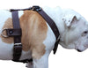 Genuine Leather Dog Harness X-Large 33"-40" Chest, 1.3" Wide Adjustable Straps