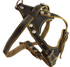 Real Leather Dog Harness, 24.5"-28" Chest size, 3/4" Wide, Harrier