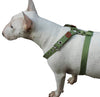 Cotton Web Dog Harness Large. Fits Girth 26"-31". 1" Wide Straps, Amstaff, Boxer, Pitbull