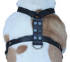 Genuine Leather Dog Harness Medium to Large 25"-32" Chest, 1" Wide Adjustable Straps