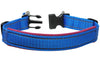 Soft Neoprene Padded Adjustable Reflective 1" Wide 2 Rings Design Dog Collar Blue 3 Sizes