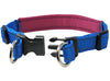 Soft Neoprene Padded Adjustable Reflective 1" Wide 2 Rings Design Dog Collar Blue 3 Sizes