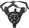 Black Genuine Leather Rhinestones Dog Harness for Small Dogs 13"-17.5" Chest