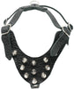 Black Genuine Leather Spiked Dog Harness for Small Dogs 13"-17.5" Chest