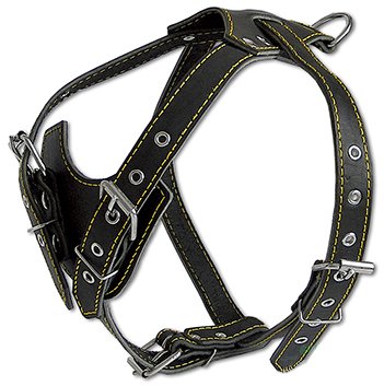 Black Genuine Leather Dog Harness, Medium. 25.5