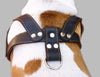 Black Leather Dog Harness, Large. 28"-34" Chest, 1.5" Wide Straps, Rottweiler Bulldog