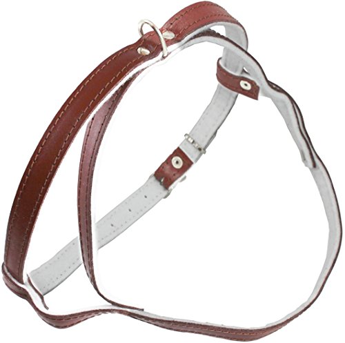 Leather Dog Harness Padded Brown