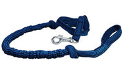Expandable Bungee Shock Absorbing Dog Leash Large 5ft Long 3/4" Wide (Blue)