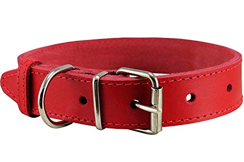 High Quality Genuine Leather Dog Collar 7 Colors (19"-22.5" Neck; 1.5 Wide)