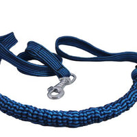 Expandable Bungee Shock Absorbing Dog Leash Large 5ft Long 3/4" Wide (Blue)