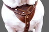 Genuine Brown Leather Dog Pulling Walking Harness Large. 30"-34" Chest 1" Wide Straps, Padded