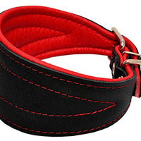 Real Leather Extra Wide Padded Tapered Dog Collar Glossy Black Lurcher Whippet Dachshund Red