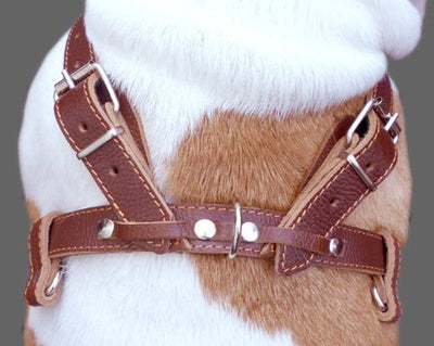 Genuine Brown Leather Dog Pulling Walking Harness Large. 30