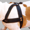 Black Leather Dog Harness, Large. 28"-34" Chest, 1.5" Wide Straps, Rottweiler Bulldog