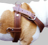 Genuine Brown Leather Dog Pulling Walking Harness XLarge. 33"-37" Chest 1.5" Wide Straps, Padded