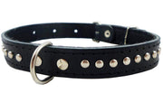 Genuine Leather Studded Padded Dog Collar 15"x5/8" Wide Fits 10"-13" Neck Poodle, Chihuahua, Puppies