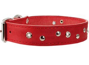 Genuine Leather Dog Collar Studded 1.5" Wide, 16.5"-20" Neck